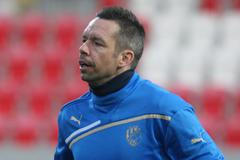 Evropská liga, Viktoria Plzeň, trénink: Pavel Horváth