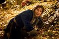 The Hobbit: The Desolation of Smaug (druhý díl Hobita)