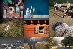 Week of Life - Den v životě - Eva Strnadová - 23. 7. 2012 - cover