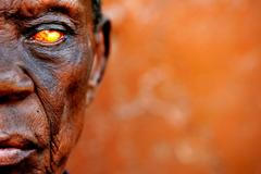 Michal Novotný - Výstava