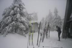 Běžky-běžkování-lyžař-hory-mlha-sníh