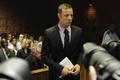 Pistorius u soudu