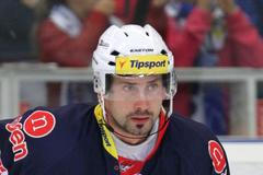 Tomáš Divíšek, Piráti Chomutov