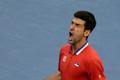 Davis Cup, finále Srbsko-ČR: Novak Djokovič