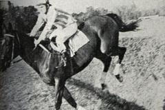 Dostihy a sázky: Skutečné osudy Napoliho a spol