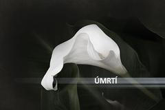 Úmrtí, ilustrační foto