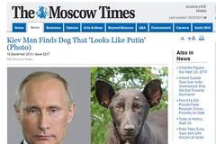 Putin - pes