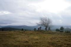Šumava - Hadí vrch - podzim - nevlídné počasí - plýskanice - vítr