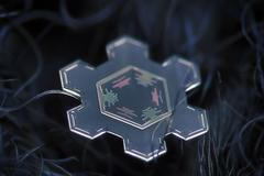 Makro snímky sněhových vloček