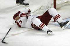 Rostislav Klesla, Phoenix