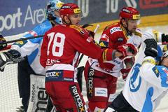 Lukáš Žejdl cloní na brankovišti