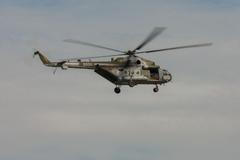 Letecká show CIAF 2013