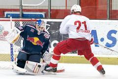 Jaroslav Bednář, hokejista Slavie