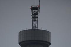 Velká Británie monarchie