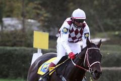 Žokej Josef Váňa na Tiumenovi během Velké pardubické 2012.