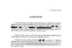 Verdikt - soud pustil Davida Ratha z vazby