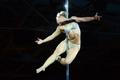 Miss Pole Dance Ukrajina