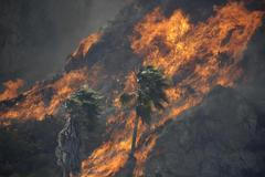 Rozsáhlý požár v Kalifornii