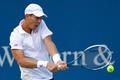 Tenis, Cincinnati: Tomáš Berdych
