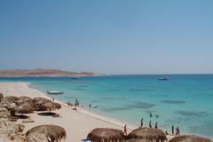 Moře je otevřené, připlavat sem může cokoli, běžné to ale není, říká instruktorka