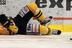 Hokej, extraliga, Plzeň - Litvínov: Jiří Gula