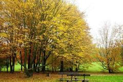 Dokumentujeme.cz: Jak si čtenáři užívali podzimní volno