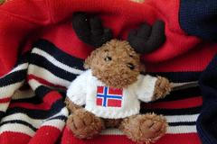 Norsko - svetr - sob - vlajka