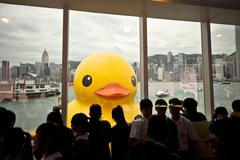 Jednorázová licence, není určeno pro články! Fotogalerie: Tak vypadá gigantická kachna z plastu, která vás ohromí