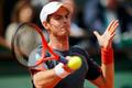 Andy Murray, French Open 2012