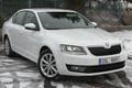 Test Škoda Octavia