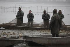 výlov rybníka na Třeboňsku