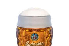 Budějovický Budvar pivo