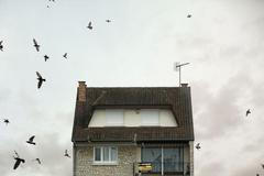 Obrazem: Krása létající domů ///Nepoužívat ve článcích! ///