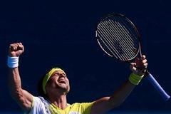 Australian Open: David Ferrer