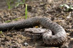 Příroda Křivoklátska