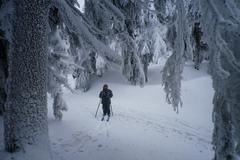 Zima - lyžování - lyžař