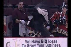 VIDEO V Americe před hokejovým zápasem naháněli kondora