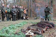 NEPOUŽÍVAT!!! / Kančí leč