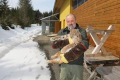 Šumavský rys David Copperfield