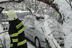 Sníh - 19. března - auto - strom