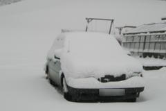 Sníh - auto