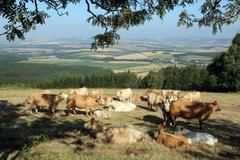 Ohrožené památky ve Zlínském kraji