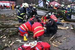 Strom ve Zlíně spadl na lidi