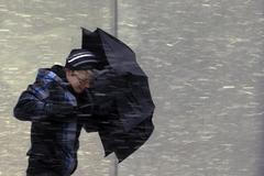 Fotogalerie: Blizard v USA - únor 2013