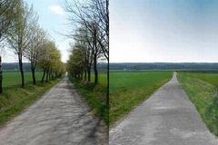 Silnice s alejí a bez aleje