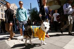 Švédové slaví titul z MS v hokeji 2013