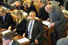 Sněmovna si volí vedení