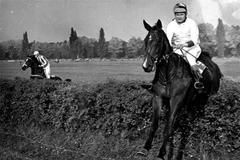 Christopher Collins s hnědákem Stephen's Society