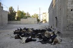 Sýrie chemické zbraně