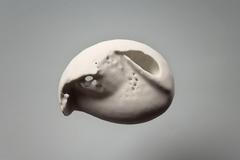 Federico díaz Resonance